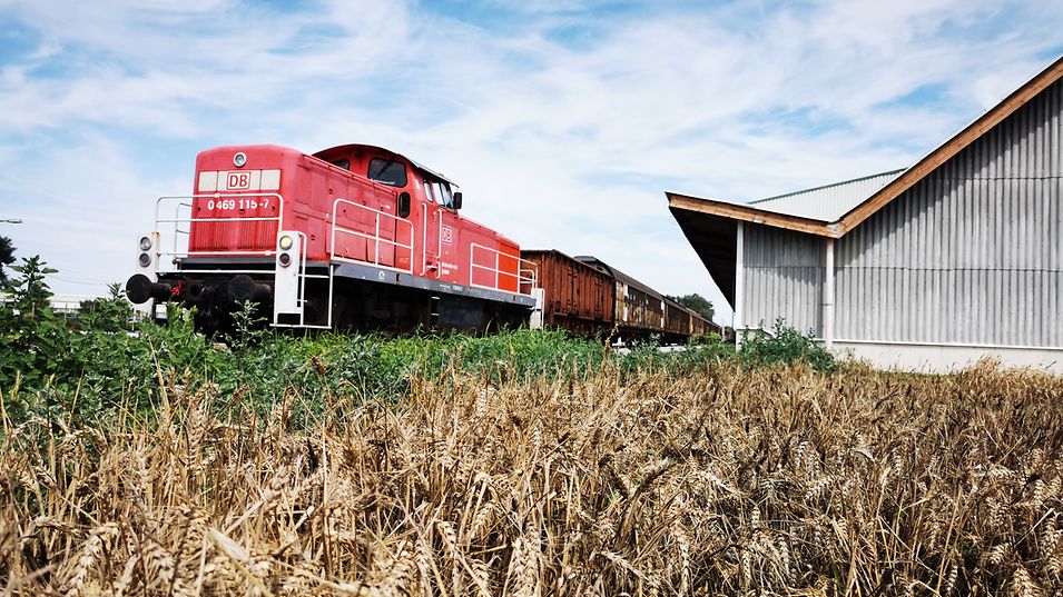 Siding Services